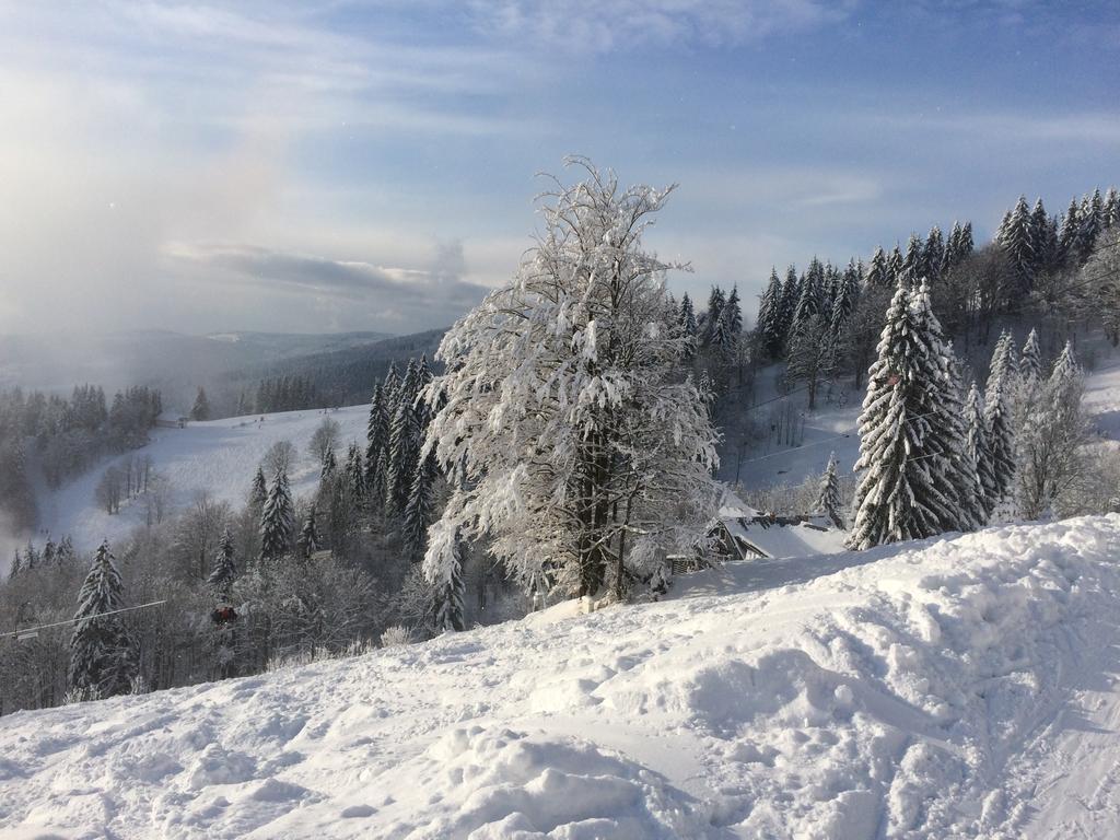 Chata Svadlenka Apartment Rokytnice nad Jizerou