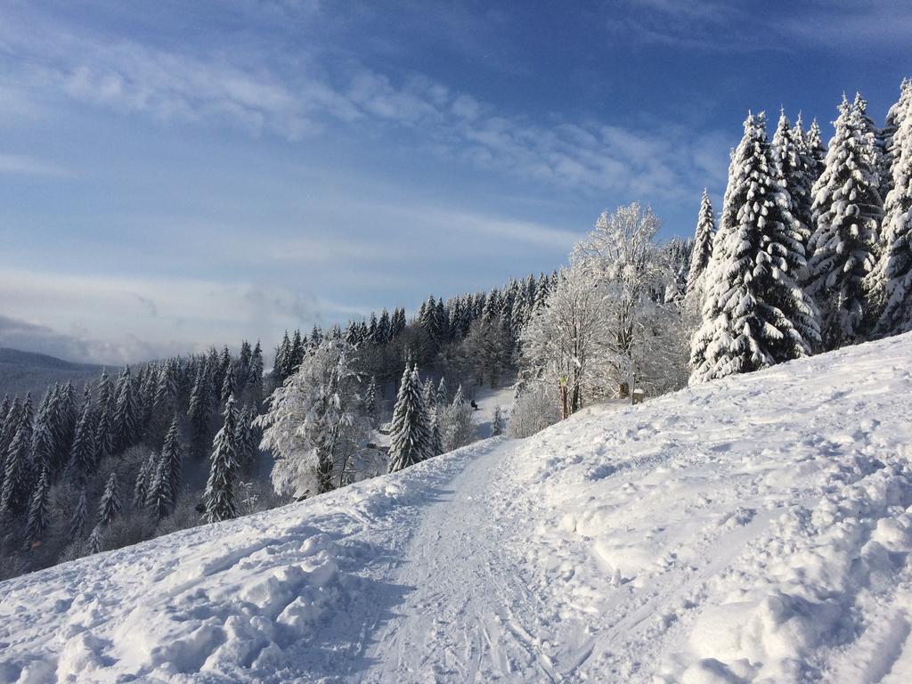Apartament Svadlenka Rokytnice nad Jizerou